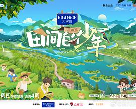 伊人麻豆网 - 星空影院海报