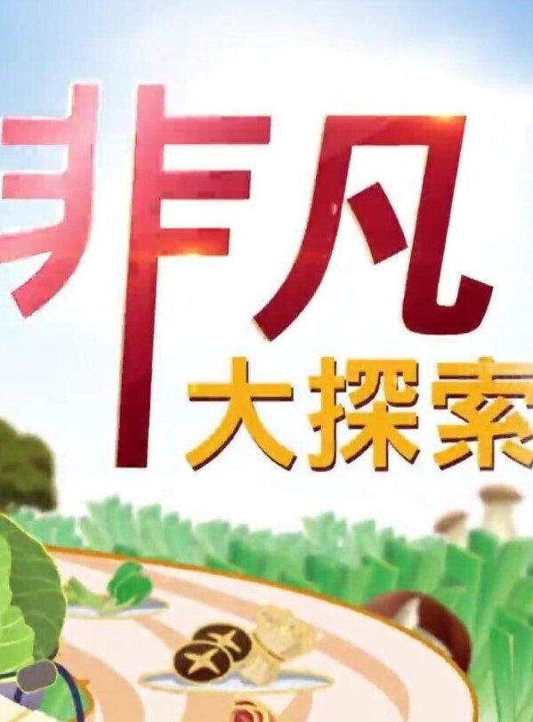 酒店偷拍 老王中午约炮单位少妇女同事跪舔鸡巴站着插几下热身各种姿势草 - 星空影院海报