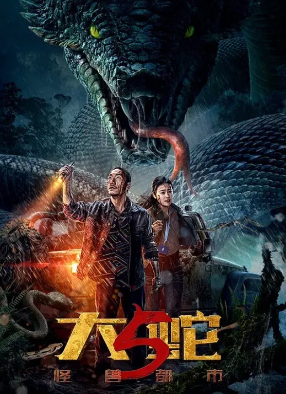 20208846895用户上传教师街射系列一 - 星空影院海报